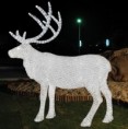 /album/photogallery/male-deer-jpg/